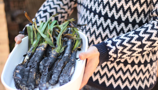 Calçots a la barbacoa. ¡Viva la Primavera!